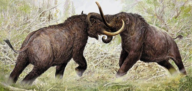 Mastodon vs Mammoth