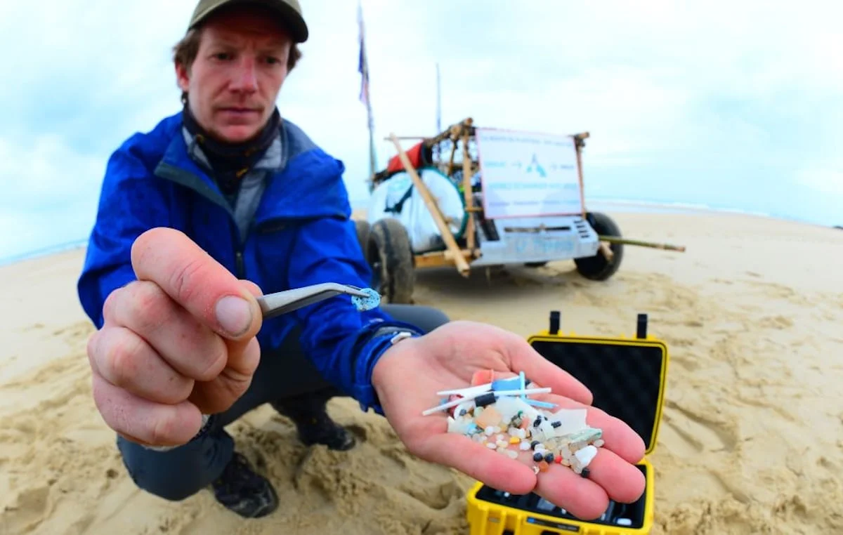 Unveiling the Hidden Threat: McCormick Microplastics and Their Impact ...